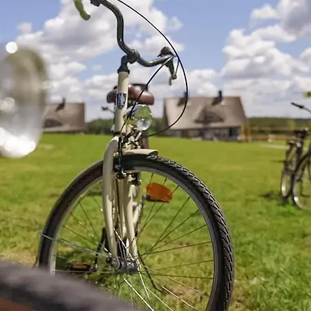 Apartamento 1 Bedroom Lovely In *